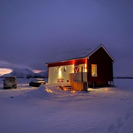 Unique Barnhouse In Amazing Gimsoy In Lofoten Saupstad  Ngoại thất bức ảnh