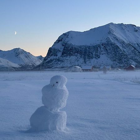 Unique Barnhouse In Amazing Gimsoy In Lofoten Saupstad  Ngoại thất bức ảnh