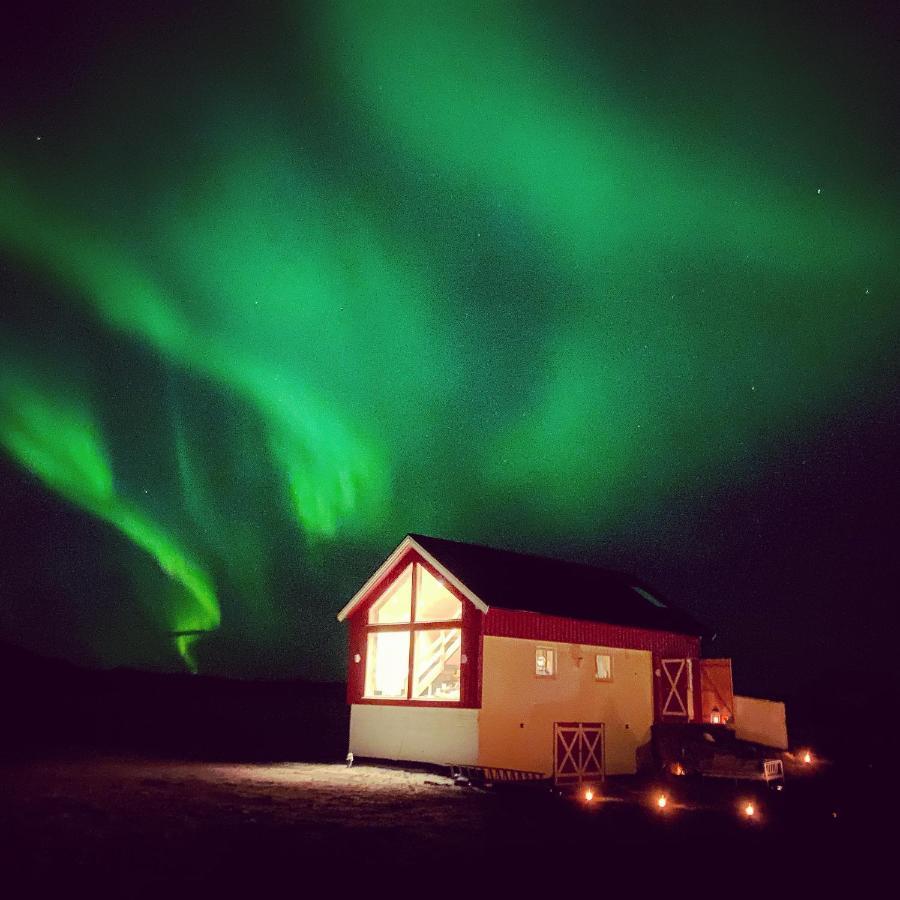 Unique Barnhouse In Amazing Gimsoy In Lofoten Saupstad  Ngoại thất bức ảnh