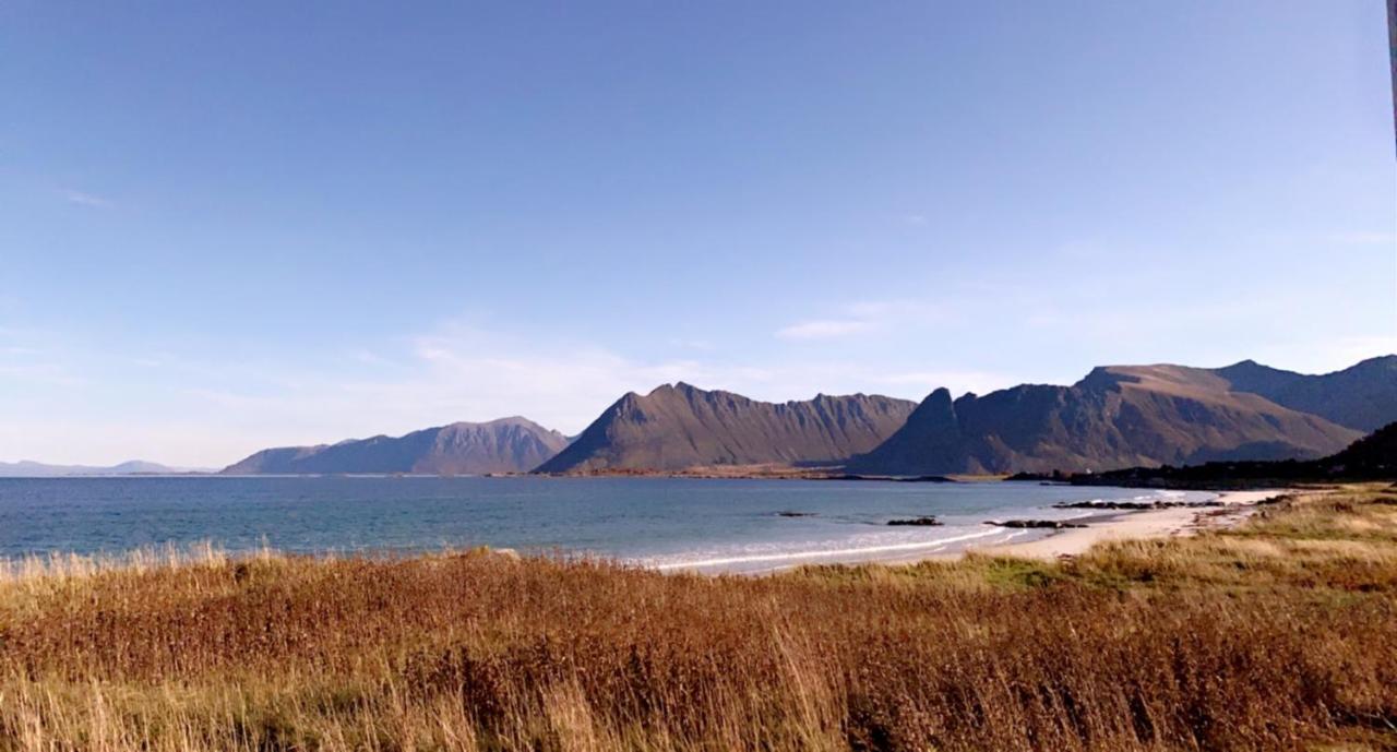 Unique Barnhouse In Amazing Gimsoy In Lofoten Saupstad  Ngoại thất bức ảnh