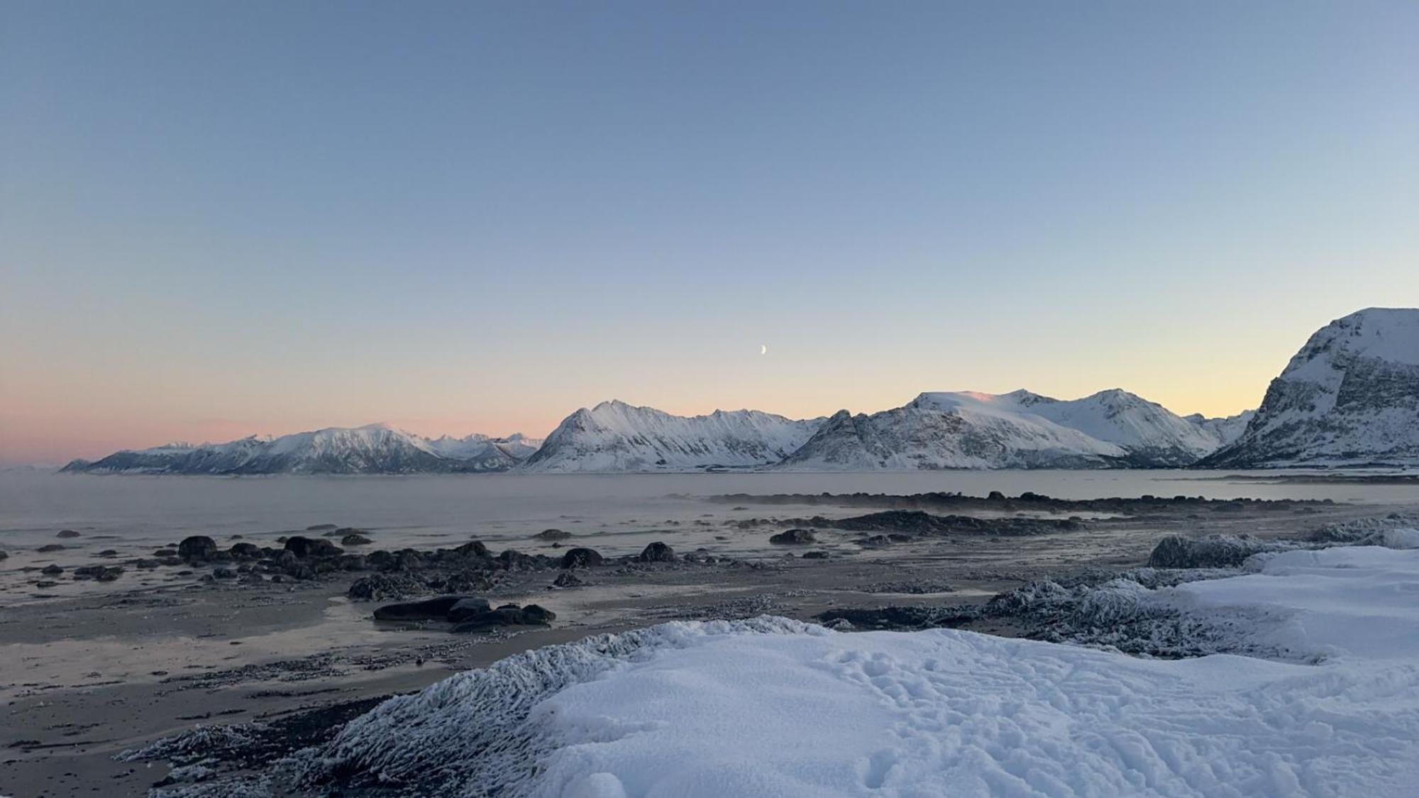 Unique Barnhouse In Amazing Gimsoy In Lofoten Saupstad  Ngoại thất bức ảnh